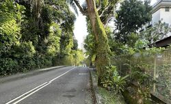 Balmoral Park (D10), Detached #464287181